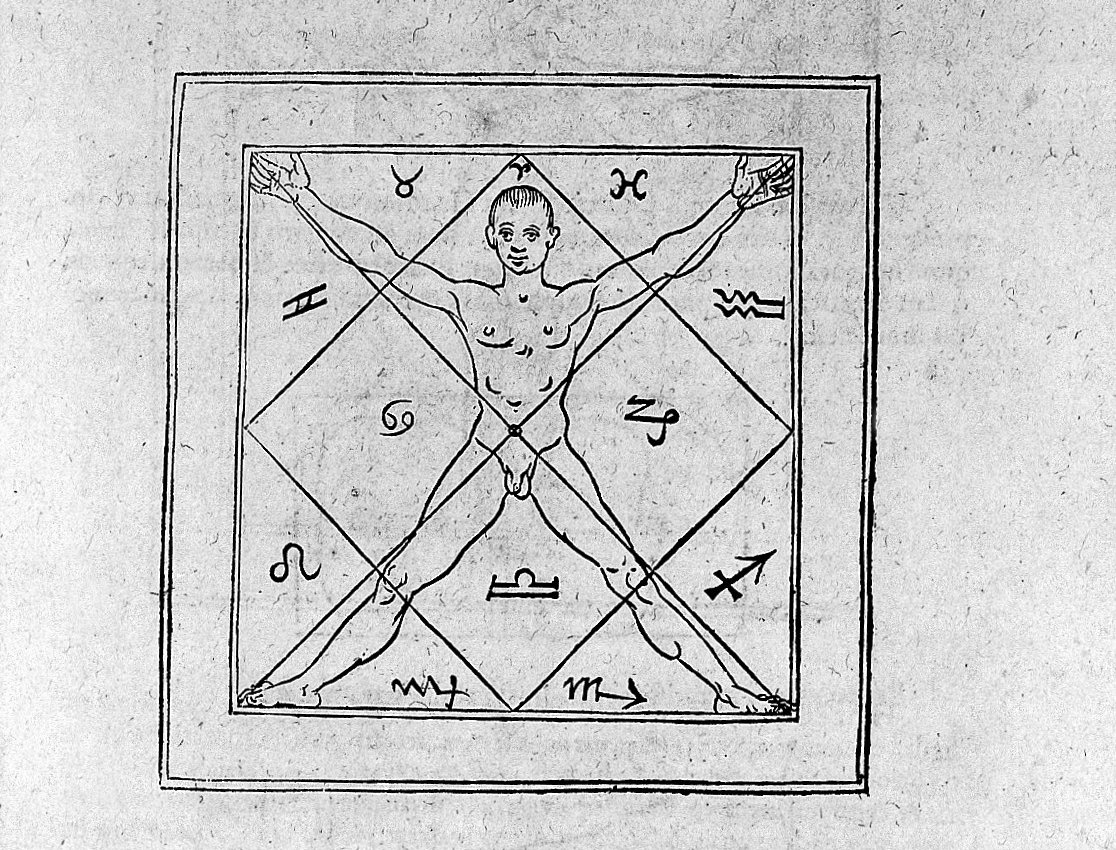 El cuerpo como un universo pequeño