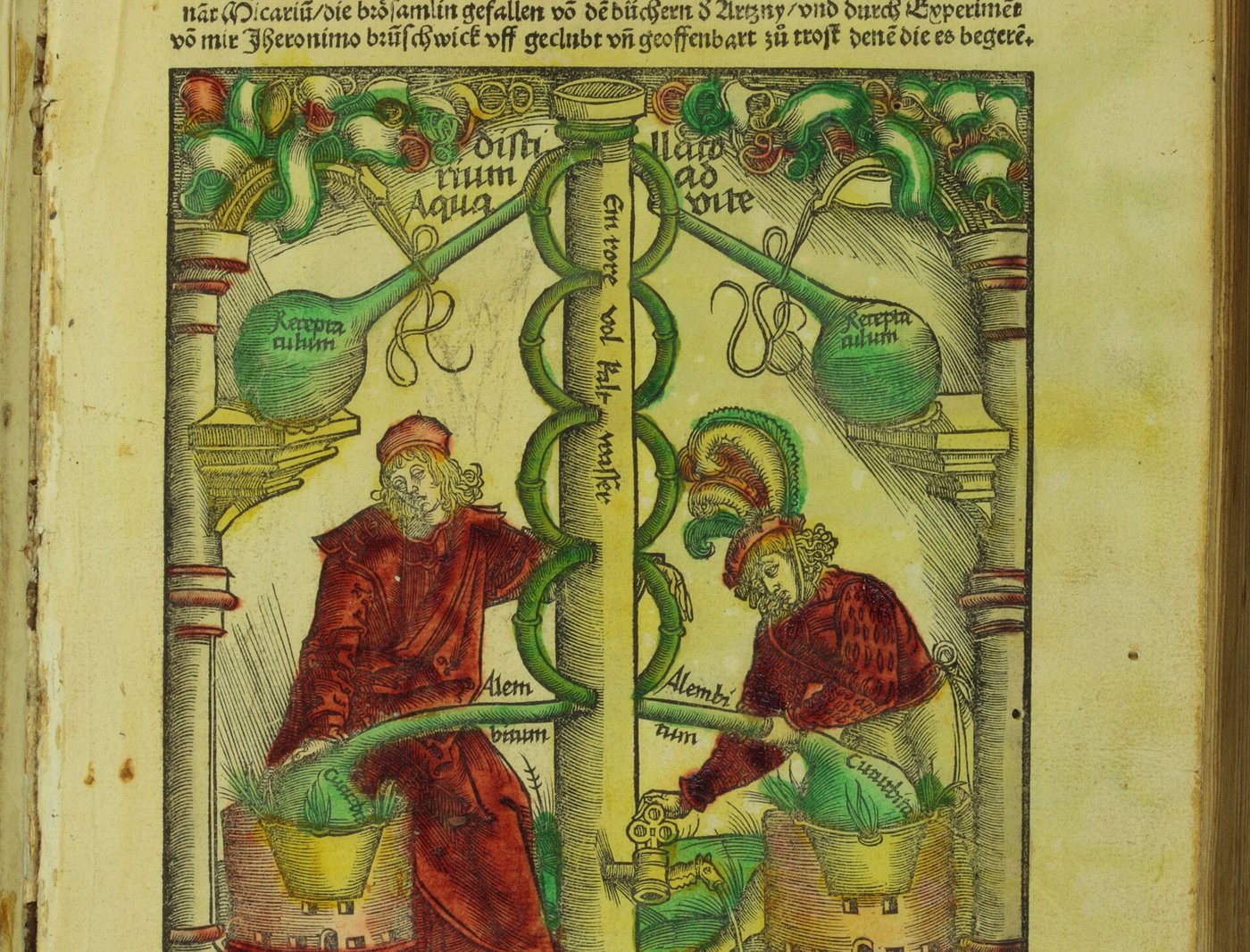 Paracelsus und die erste Revolte gegen die vier Säfte