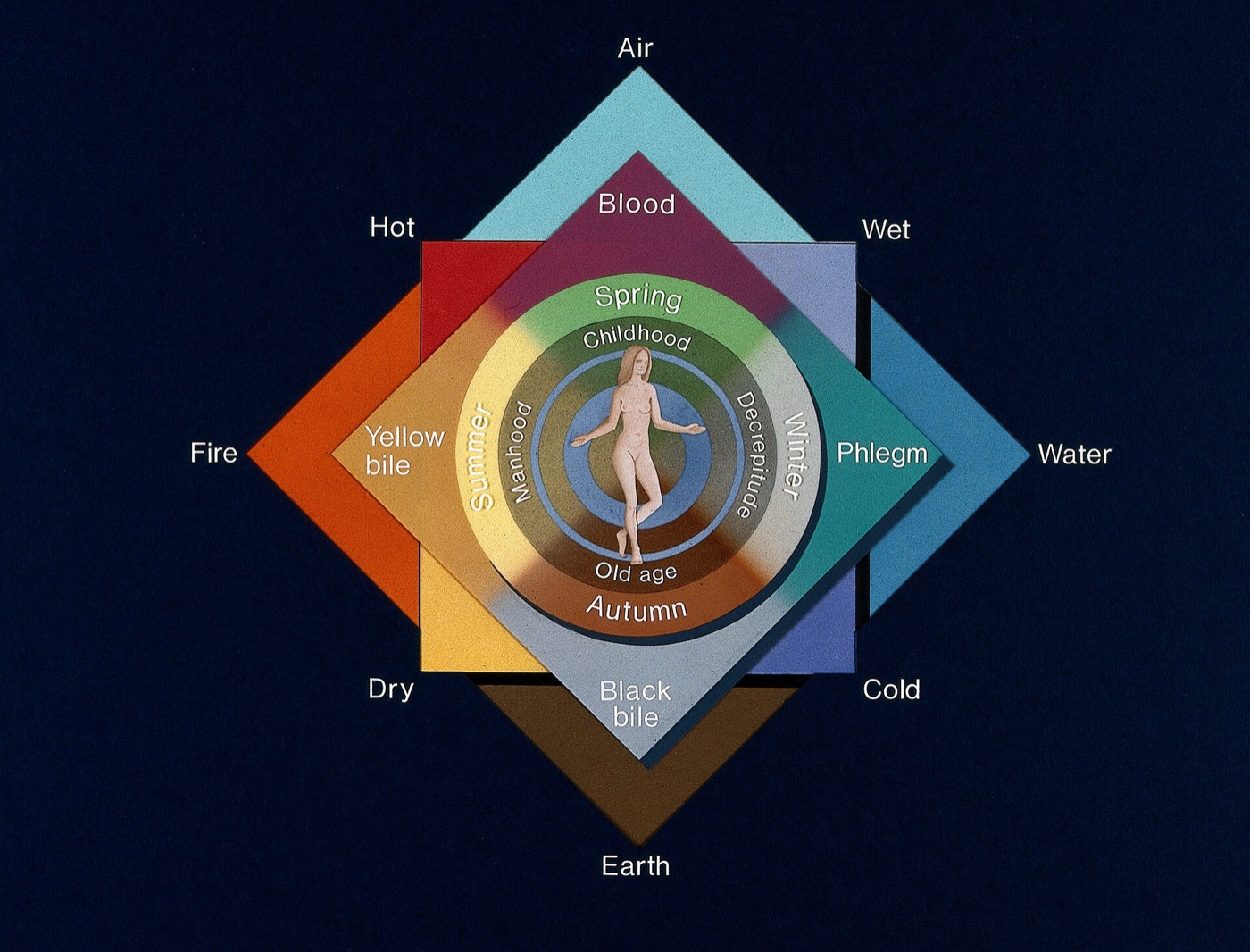 Understanding Temperament Blends: Reading Your Top Two